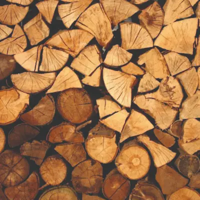 Catasta di legna